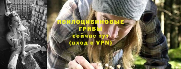 гидропоника Медногорск