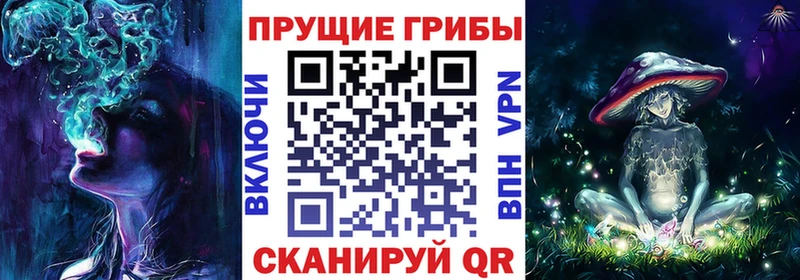 Галлюциногенные грибы Psilocybine cubensis  Купить закладки  Мурманск 